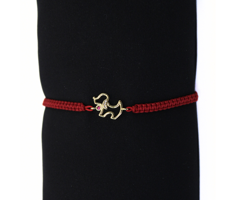 Armband, Hund Zirkonia, gold