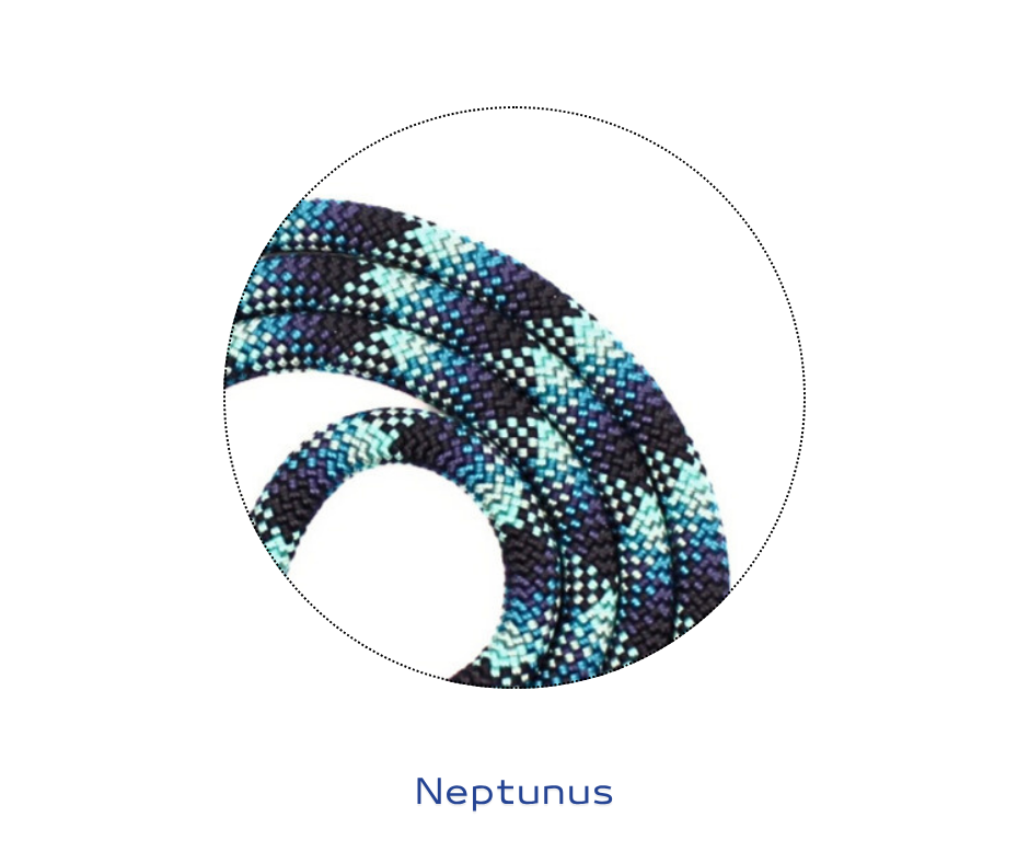 Neptunus